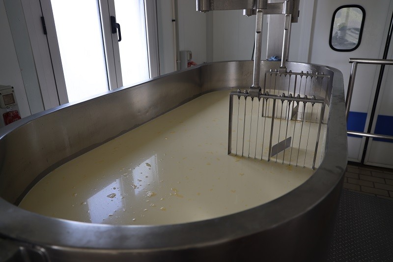 color de la leche