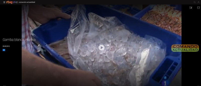 gamba huelva video 03
