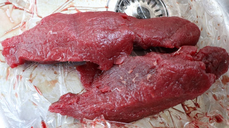 thunnus thynnus