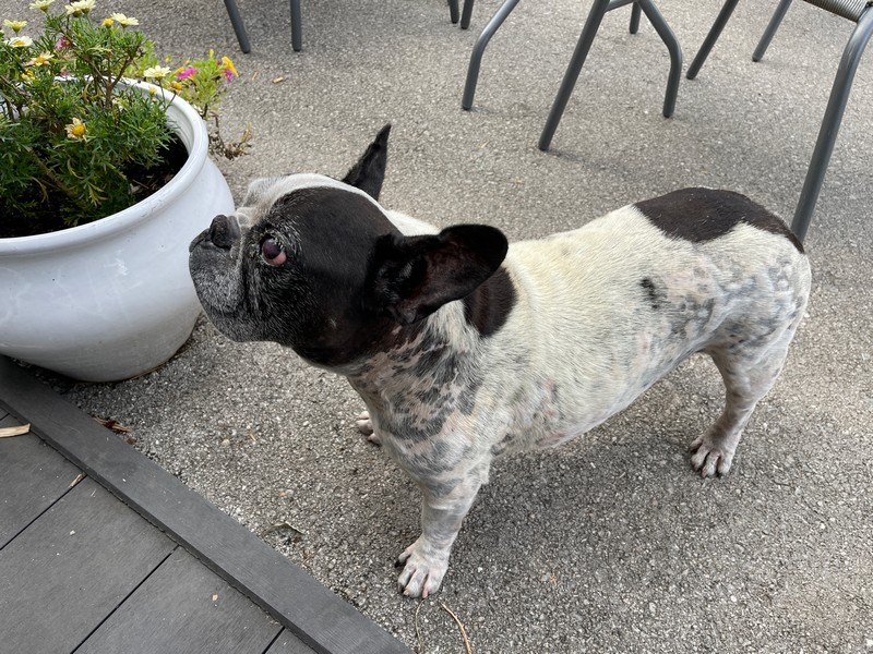El Baruco de Anero1