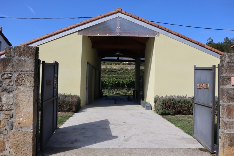 hortanza gen 003