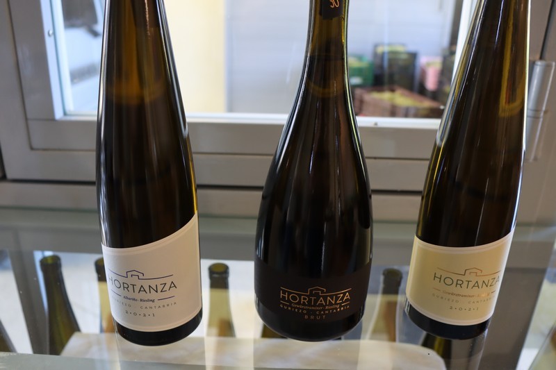 hortanza gen 007