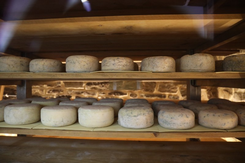 La Lleldiria Fermenteria Valles Pasiegos