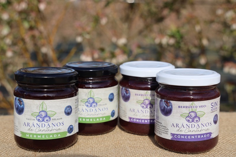 Arandanos Berrueco Veci