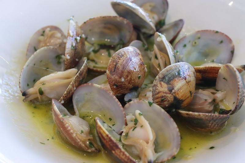 Laredo Son de Mar