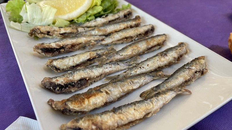 Lalola Santander