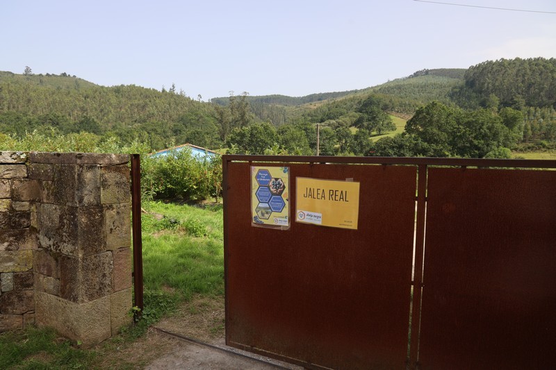 Finca Juanonso