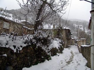 casa_fidela_lomena_003
