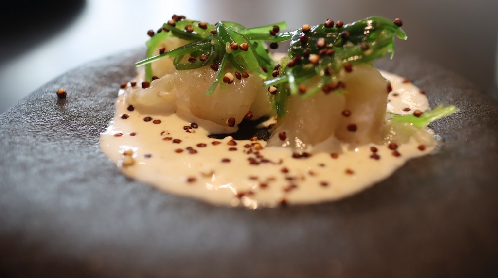 Tiradito de Corvina